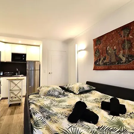 2 Pieces Avec Balcon - Parking - Proche Versailles Apartmán Le Chesnay (Yvelines)